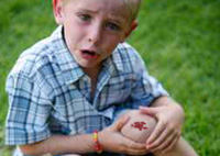 a 